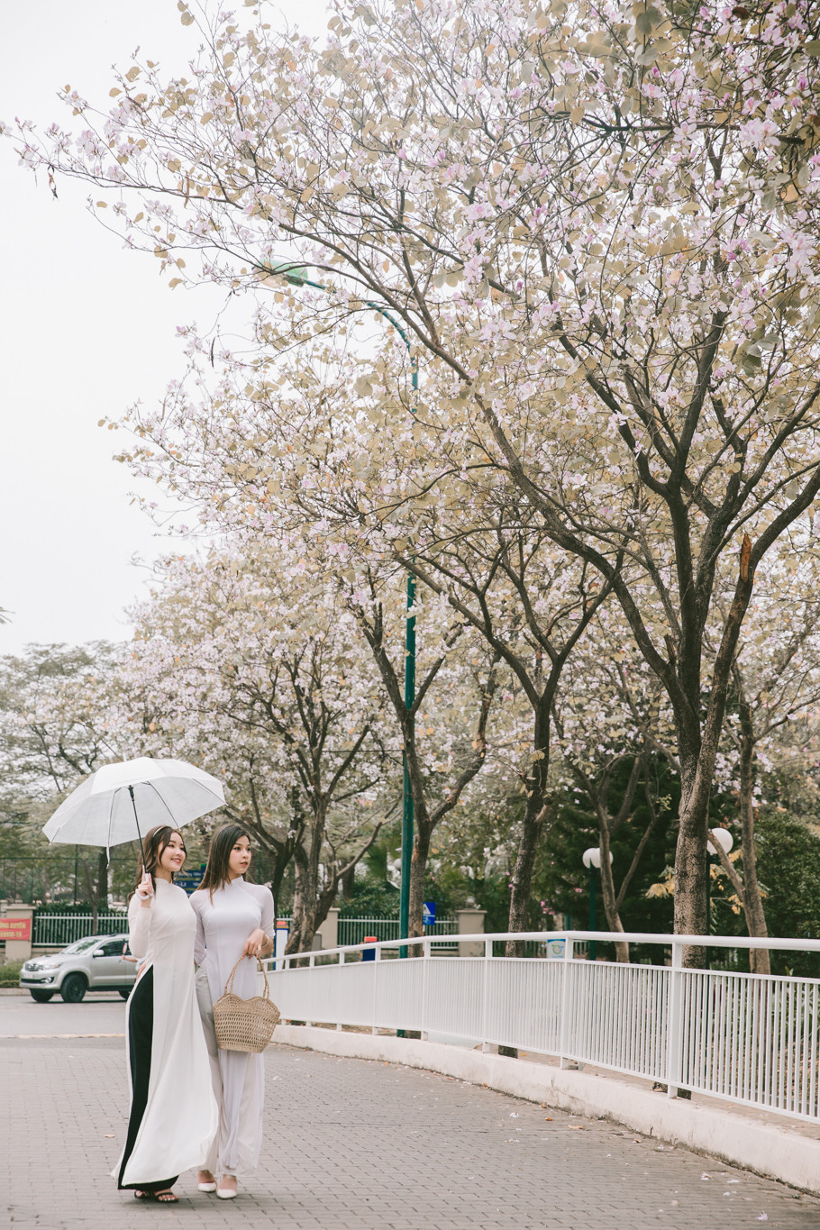 Các thiếu nữ cũng thích lựa chọn hoa ban để chụp ảnh lưu giữ lại tuổi thanh xuân. (Ảnh: Minh Sơn/Vietnam+)