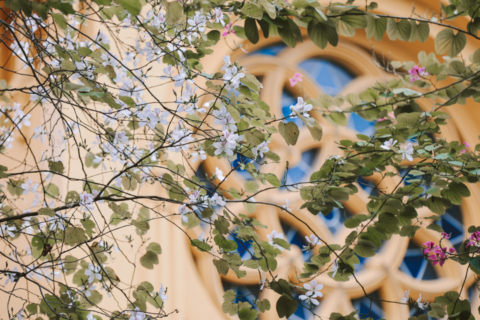 (Ảnh: Minh Sơn/Vietnam+)