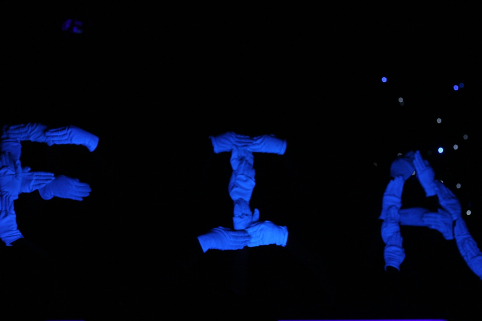 Các bạn sinh viên khoa Quan hệ Quốc tế gây ấn tượng với màn múa tay xếp hình tên khoa của mình. (Ảnh Minh Sơn/Vietnam+)