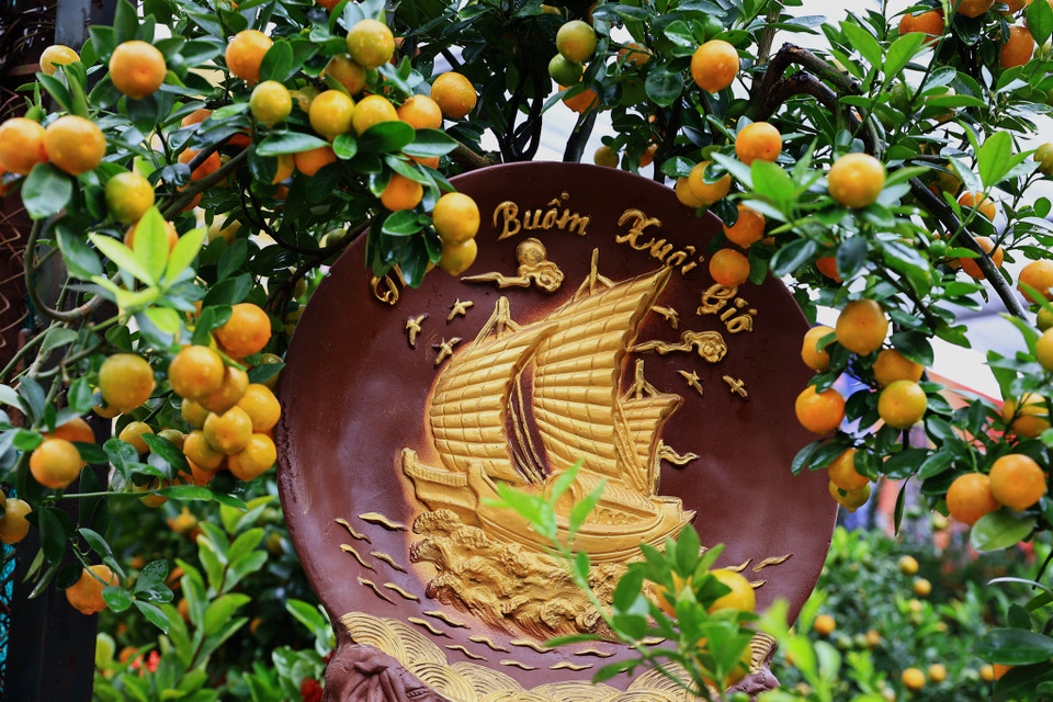 Anh Huy, chủ vườn quất bonsai cho biết: 'Ảnh hưởng của dịch bệnh nên giá cả giảm so với mọi năm, khách đến mua cũng đắn đo để bỏ một số tiền ra chơi quất.' (Ảnh: Hoài Nam/Vietnam+)