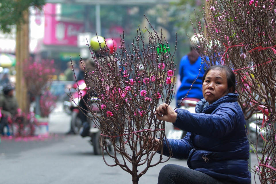 Nơi đây không khí vừa hiện đại xen lẫn chút cố kính rất riêng. (Ảnh: Minh Sơn/Vietnam+)