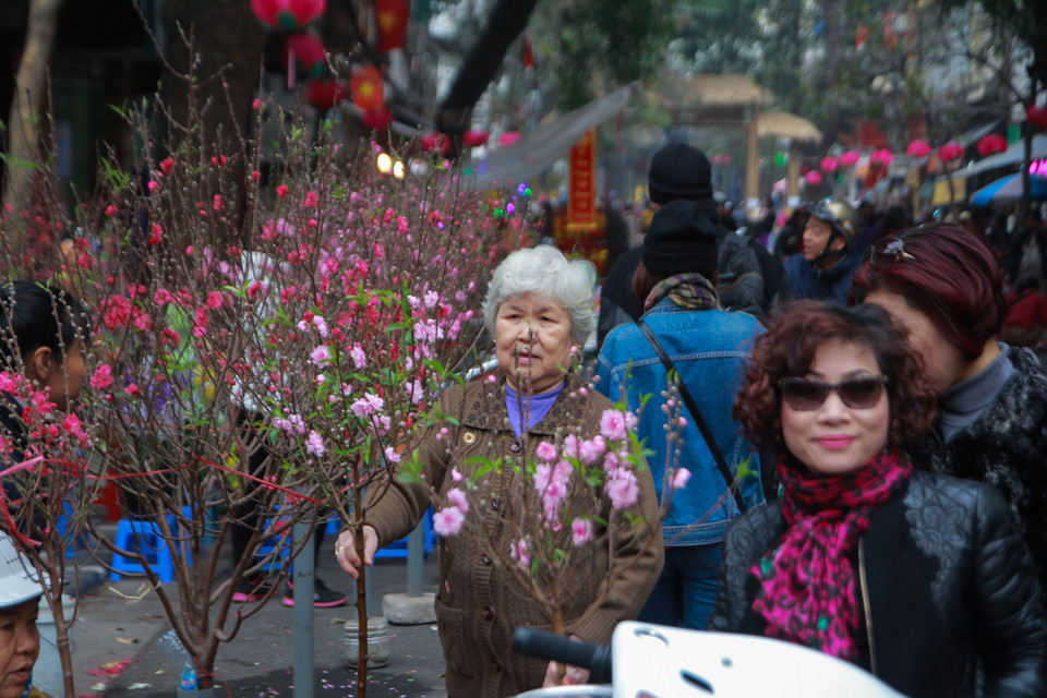 Người mua có thể thong thả rảo bước từ đầu phố đến cuối phố ngắm nghía, chọn lựa những cành hoa ưng ý nhất. (Ảnh: Minh Sơn/Vietnam+)