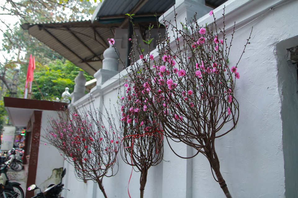 Có thể nói đây là một "đặc sản" của riêng vùng đất Kinh kỳ. (Ảnh: Minh Sơn/Vietnam+)