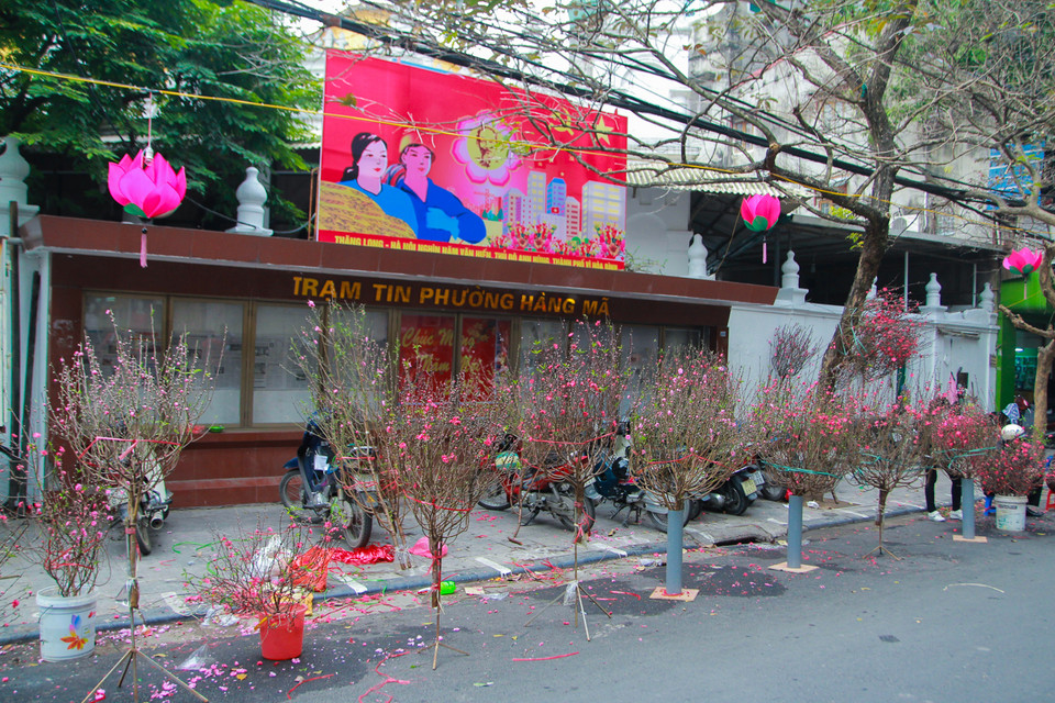 Cả một dọc con phố cổ tràn ngập những hoa là hoa. (Ảnh: Minh Sơn/Vietnam+)