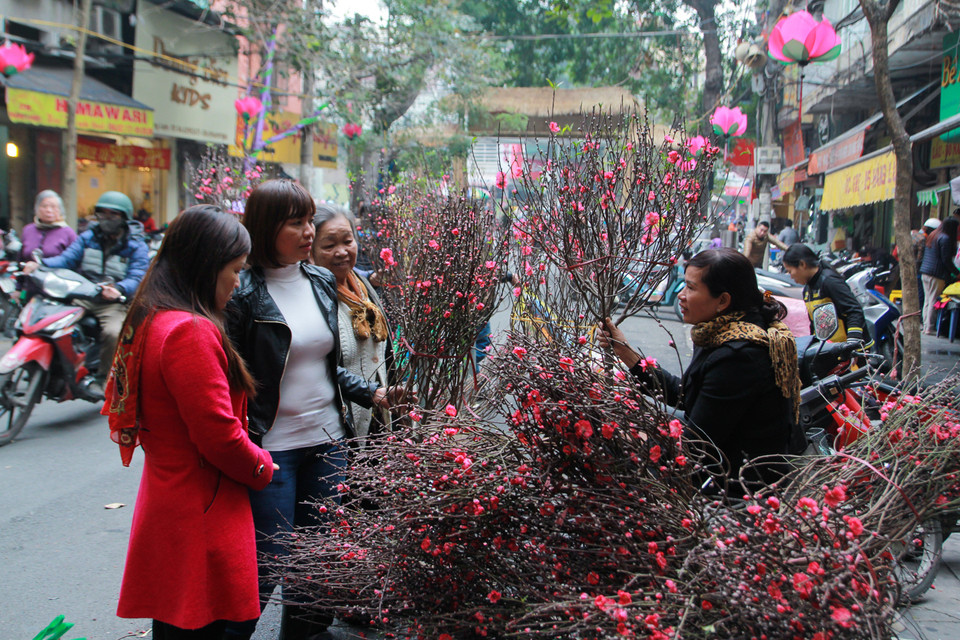 Đi chợ hoa Hàng Lược không chỉ để mua hoa mà còn là một thú vui tao nhã của người Hà Hội, bởi chợ chỉ họp duy nhất một lần mỗi năm. (Ảnh: Minh Sơn/Vietnam+)