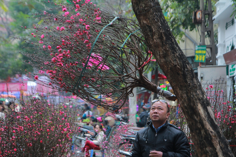 Chợ hoa họp từ sáng sớm đến tận đêm khuya nhưng dường như nơi đây không lúc nào vắng vẻ cả. (Ảnh: Minh Sơn/Vietnam+)