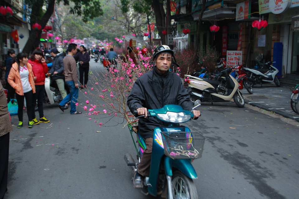 Những cành đào được vận chuyển đến tận tay người mua. (Ảnh: Minh Sơn/Vietnam+)