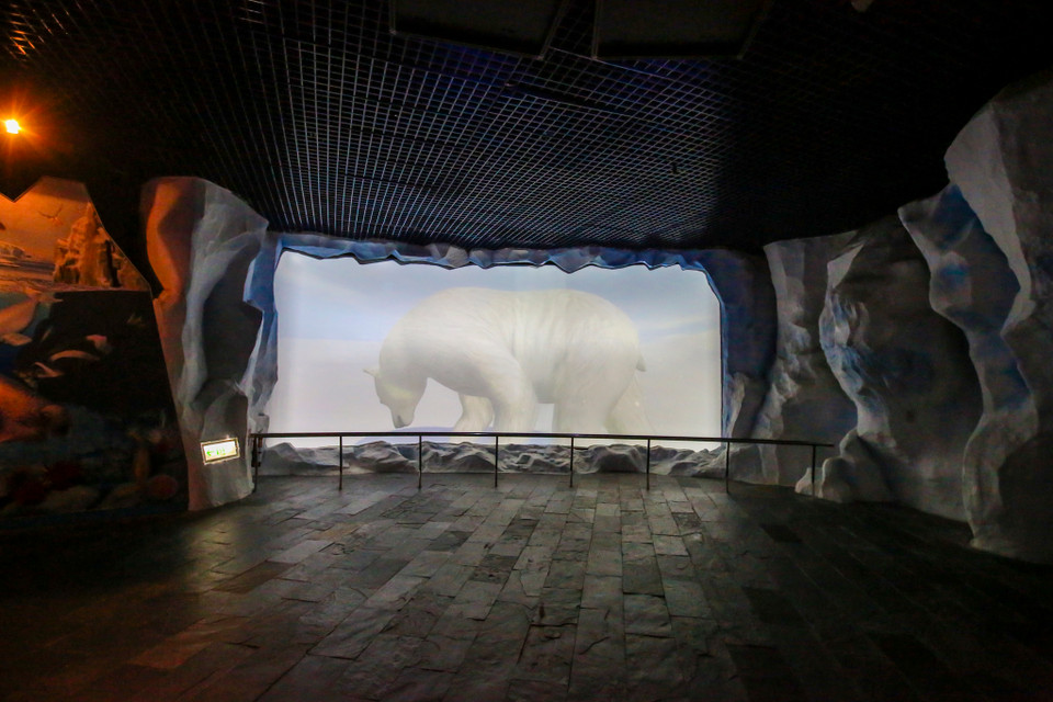 Nơi đây cũng trang bị cho du khách những công nghệ tiên tiến nhất như đeo kính 3D để trải nghiệm một thế giới sinh vật cảnh đầy sống động như ngoài đời thực. (Ảnh: Minh Sơn/Vietnam+)