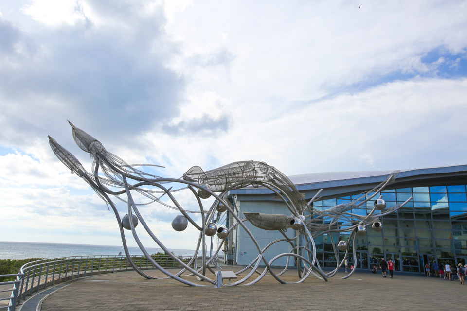 Bảo tàng được chia thành nhiều khu chủ đề khác nhau là Vương Quốc San Hô, Hải Dương Học Đài Loan và Hải Dương Học Thế Giới. (Ảnh: Minh Sơn/Vietnam+)