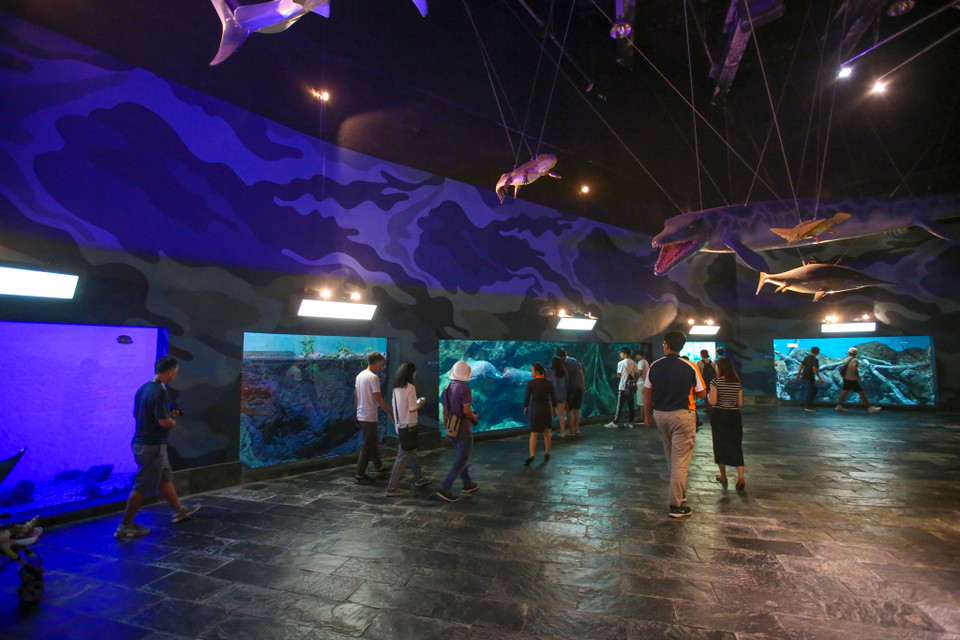 Bảo tàng hải dương học là địa điểm đầy thú vị. Nếu bạn là người thích khám phá đại dương bao la thì bảo tàng hải dương học ở Đài Loan chính là điểm dừng chân tuyệt vời cho hành trình du lịch của bạn. (Ảnh: Minh Sơn/Vietnam+)