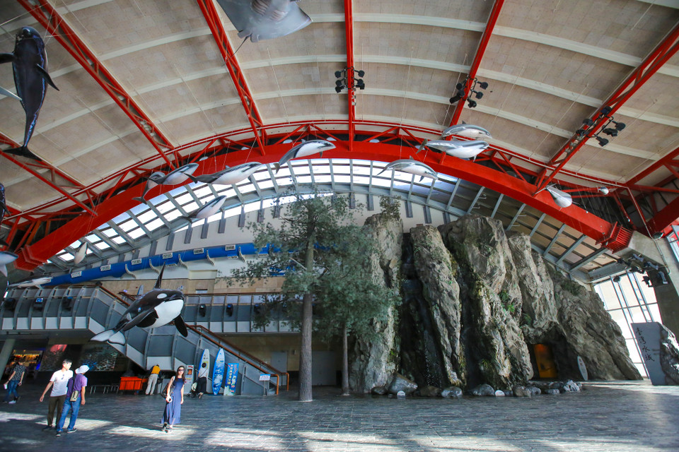 Bảo tàng hải dương và thuỷ cung quốc gia được xây dựng vào năm 2000 với diện tích lên đến gần 1 triệu m2. Nơi đây tập trung đầy đủ những hoạt động vui chơi giải trí dưới nước, giúp du khách có thể thỏa sức khám phá trong nhiều giờ. (Ảnh: Minh Sơn/Vietnam+)