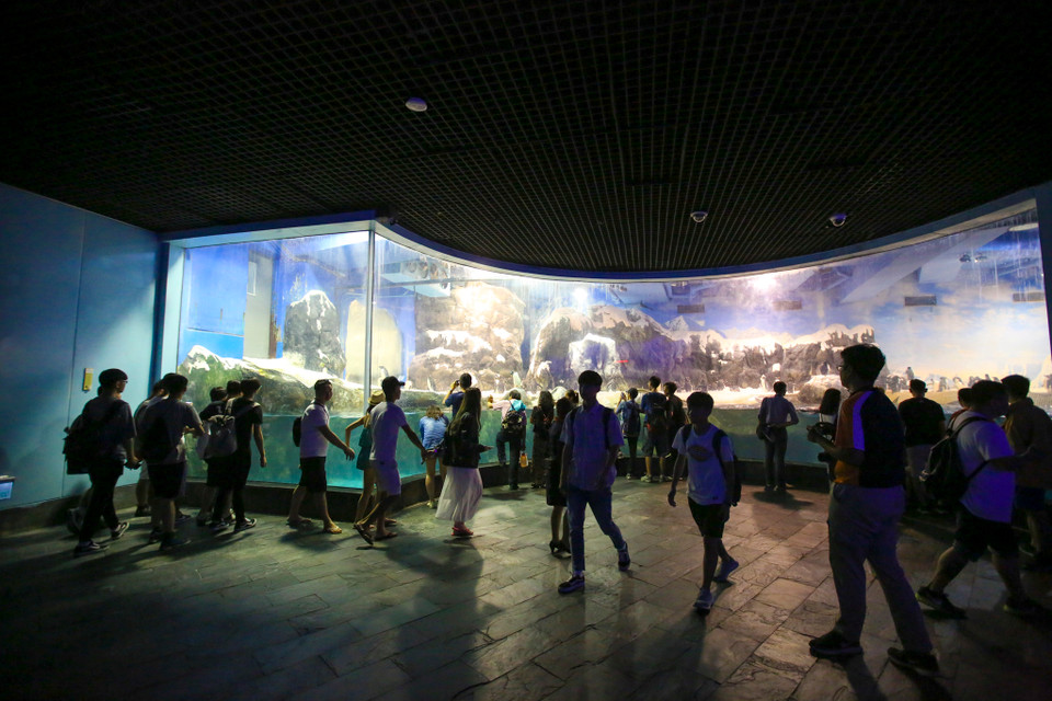 Khu Hải Dương Học Thế Giới được trang bị những công nghệ tiên tiên nhất, miêu tả sinh động các vùng biển khác nhau trên thế giới từ đại dương thời sơ khai đến khu rừng rậm tảo biển hay sâu dưới lòng đại dương,... (Ảnh: Minh Sơn/Vietnam+)