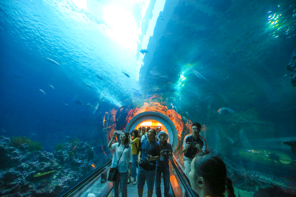 Một đường hầm dưới lòng biển dài gần 100m, du khách sẽ được chiêm ngưỡng san hô đủ màu sắc, ngắm nhìn cận cảnh hàng đàn cá bơi lội như đang được lặn biển khám phá đại dương. (Ảnh: Minh Sơn/Vietnam+)