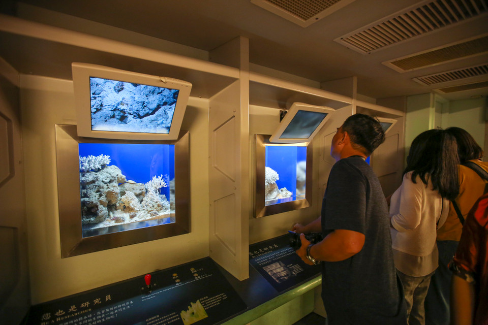 Du khách cũng có thể chọn chủ đề yêu thích để chụp ảnh, nghiên cứu và chiêm nghiệm vẻ đẹp tuyệt vời của những rạn san hô san sát với đầy đủ sắc màu, những chú cá hề đáng yêu, cá voi trắng, cá chình, cá nhám,... (Ảnh: Minh Sơn/Vietnam+)