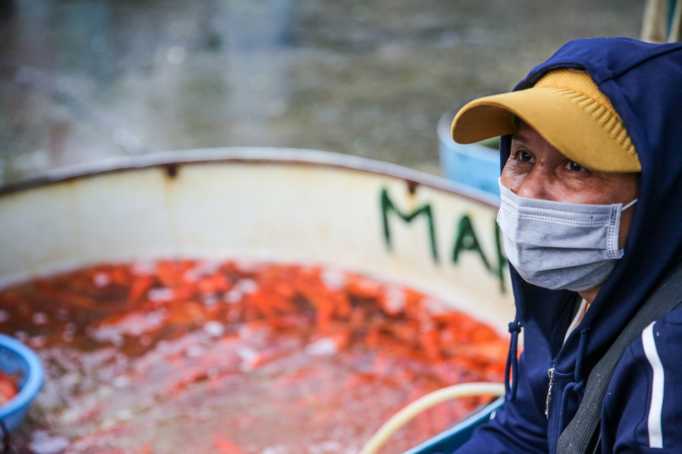 Các tiểu thương nơi đây cũng cho biết, tuy năm nay không nhộn nhịp nhưng cá bán được giá nên tâm lý mọi người đều khá thoải mái. (Ảnh: Minh Sơn/Vietnam+)