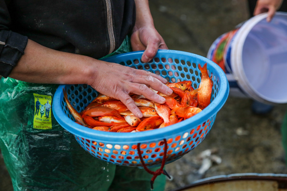 (Ảnh: Minh Sơn/Vietnam+)