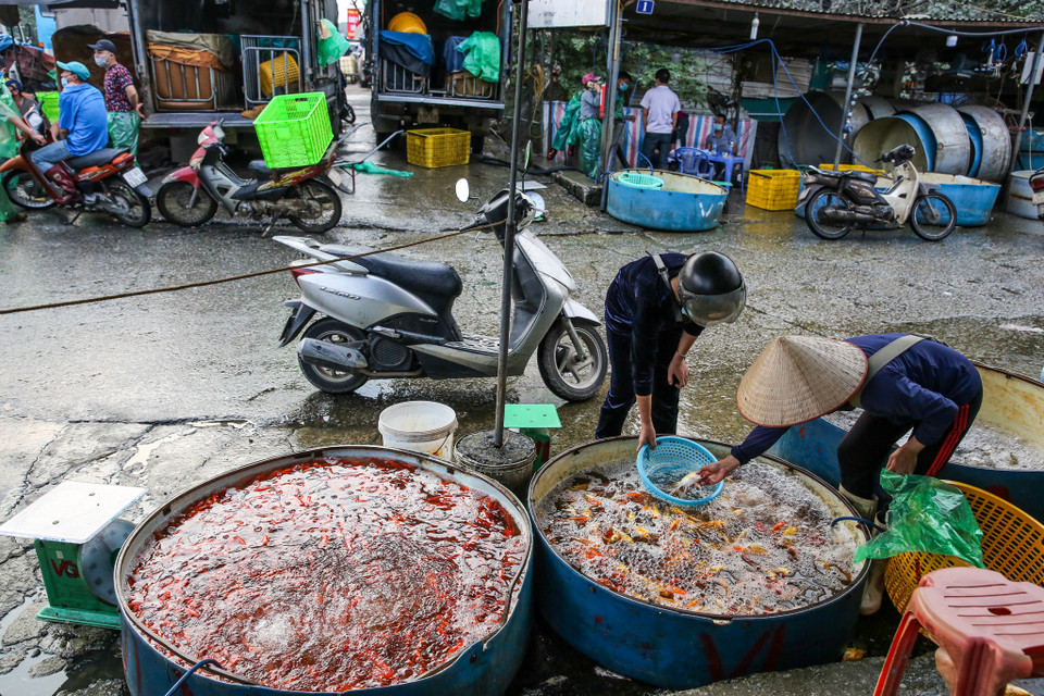Chợ cá Yên Sở cũng là chợ cá lớn nhất của Hà Nội. (Ảnh: Minh Sơn/Vietnam+)