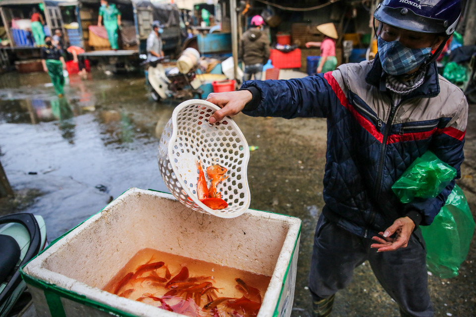 (Ảnh: Minh Sơn/Vietnam+)