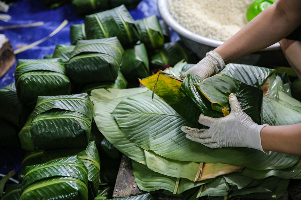 Người dân Tranh Khúc không chỉ coi đây là nghề kiếm sống mà còn đặt cái tâm vào từng mẻ bánh, có vậy mới làm nên thương hiệu bánh chưng nức tiếng gần xa. (Ảnh: Minh Sơn/Vietnam+)