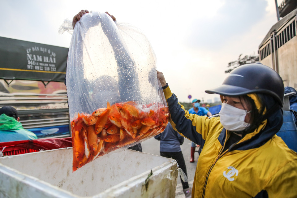 (Ảnh: Minh Sơn/Vietnam+)