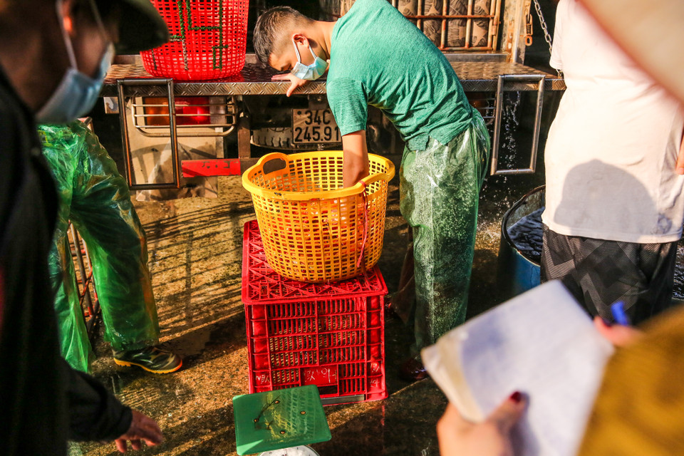 Cá chép năm nay được đánh giá là nhỏ hơn năm ngoái. 1 cân cá được khoảng 40-50 con. (Ảnh: Minh Sơn/Vietnam+)