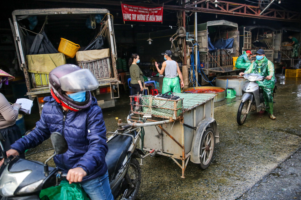 Chợ cá Yên Sở họp từ rất sớm, ngay từ khoảng 3-4 giờ sáng, người dân cùng thương lái đổ về tấp nập. (Ảnh: Minh Sơn/Vietnam+)