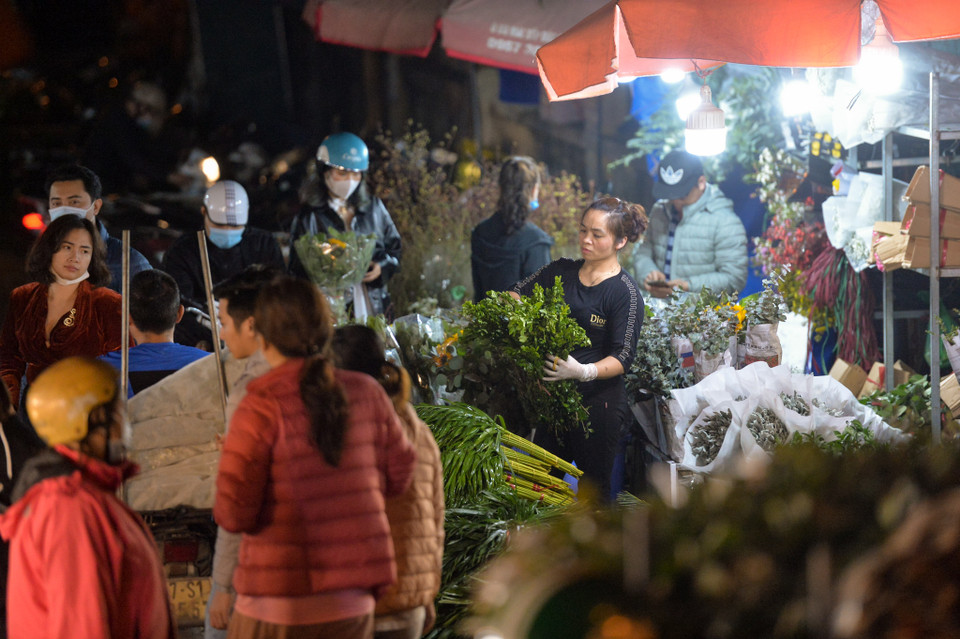 Người dân Thủ đô có thể đến xem, lựa chọn mua hoa lẻ hoặc buôn theo nhu cầu. (Ảnh: Minh Sơn/Vietnam+)