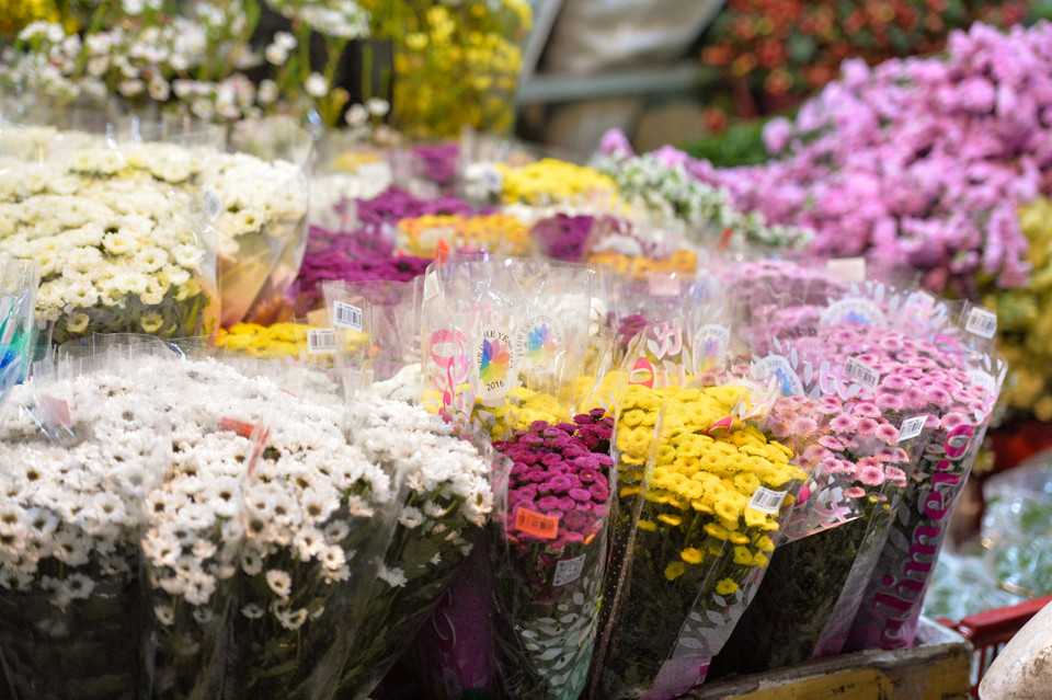 Chợ hoa Quảng An còn đa dạng với nhiều loại hoa khác như thạch thảo, salem, violet, cúc vàng, thực dược, lay ơn… (Ảnh: Minh Sơn/Vietnam+)