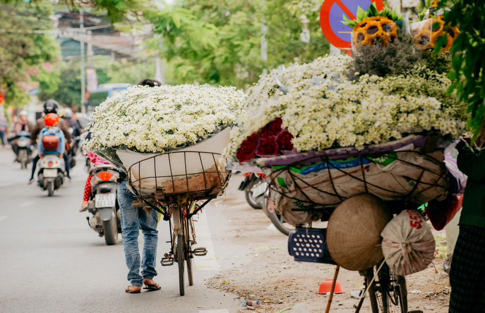 Khi những bông cúc bừng nở khắp phố phường cũng chính là khi Đông đã về. (Ảnh: PV/Vietnam+)