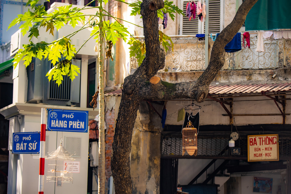 Dù đi đâu xa, những người con sinh ra ở Hà Nội vẫn tự hào về những dãy phố lâu đời, nơi gửi gắm bao hồi ức, hoài niệm xưa cũ. (Ảnh: Minh Sơn/Vietnam+)