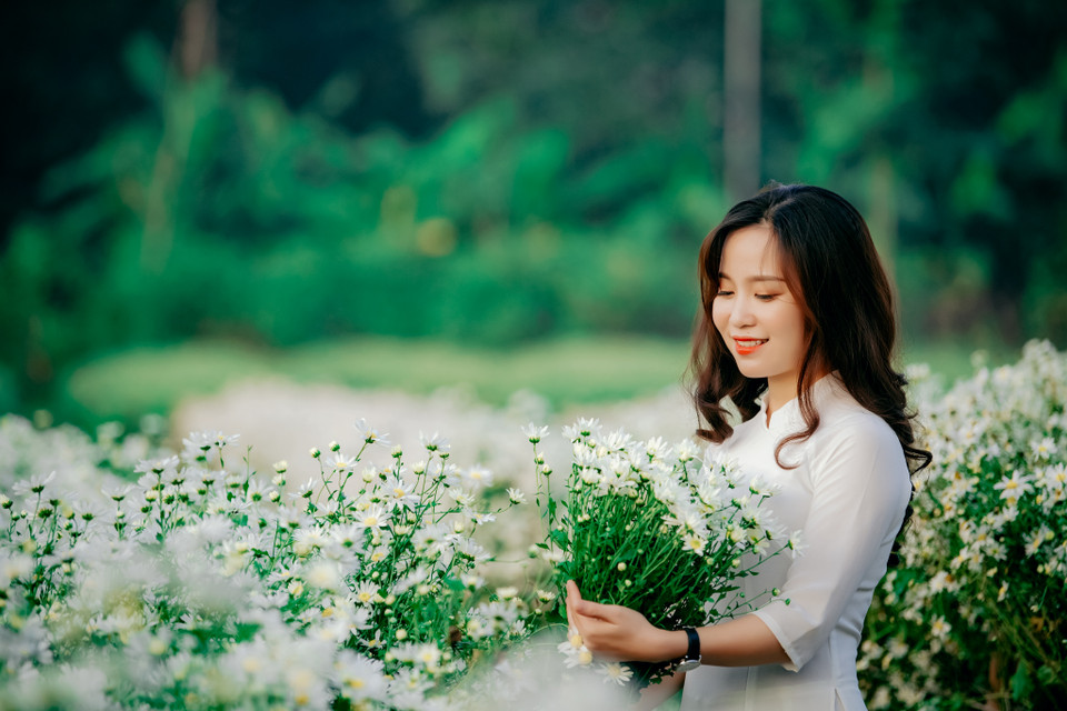 Chỉ cần một buổi sáng dạo quanh một vườn cúc họa mi, du khách có thể sở hữu một bộ ảnh ưng ý. (Ảnh: PV/Vietnam+)