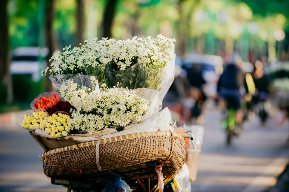 Cũng bởi vì vẻ đẹp tinh khôi mỏng manh cùng mức giá chỉ từ 50 đến 10 ngàn/bó khiến đây là loài hoa được người dân Thủ đô 'săn lùng' mỗi dịp này. (Ảnh: PV/Vietnam+)