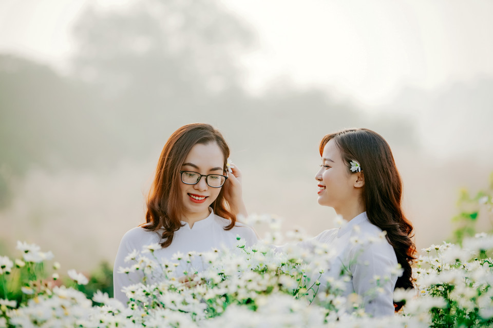 Tuy loài hoa này đẹp nhưng sớm nở chóng tàn, chính vì thế nó cũng thôi thúc nhiều bạn trẻ nhanh chân lưu giữ lại những hình ảnh đẹp đẽ nhất thời thanh xuân. (Ảnh: PV/Vietnam+)