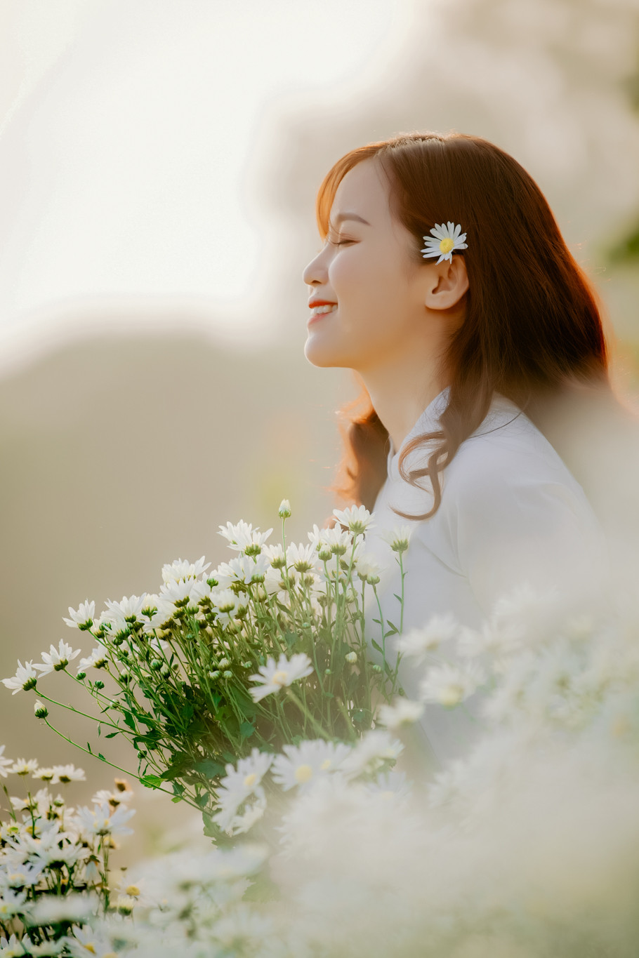 Cúc họa mi là loài hoa đẹp nhất vào mùa Đông, là biểu tượng của thanh xuân gắn liền với kí ức của nhiều người. (Ảnh: PV/Vietnam+)