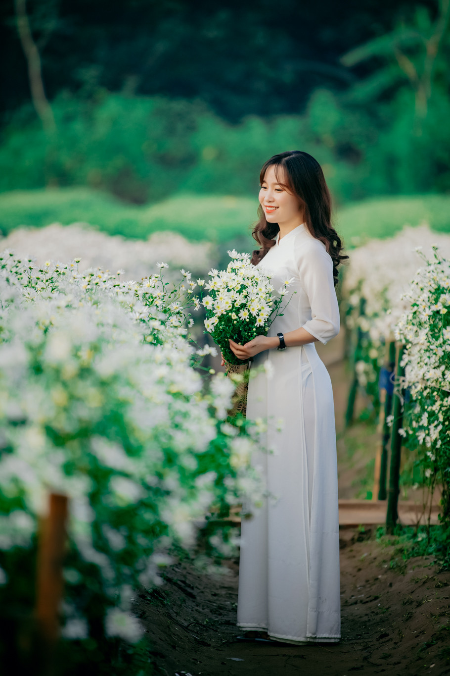 Nhiều người yêu hoa còn cất công tới tận vườn để mua những bó đẹp nhất và chụp ảnh cùng cúc họa mi. (Ảnh: PV/Vietnam+)