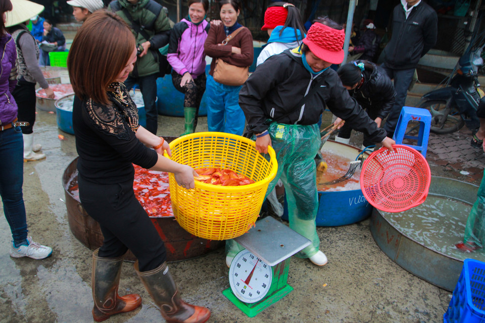 Có nhiều nhà bán đến hàng tấn cá mỗi ngày. (Ảnh: Minh Sơn/Vietnam+)