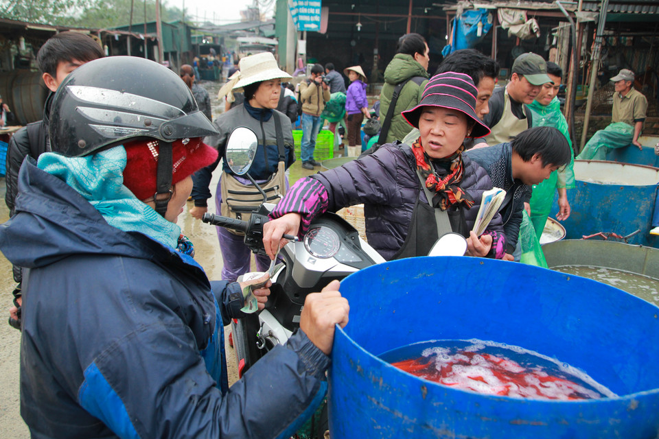 Một vị khách mua gần 1 tạ cá mang về Long Biên để kịp bán sáng 23 tháng Chạp. (Ảnh: Minh Sơn/Vietnam+)