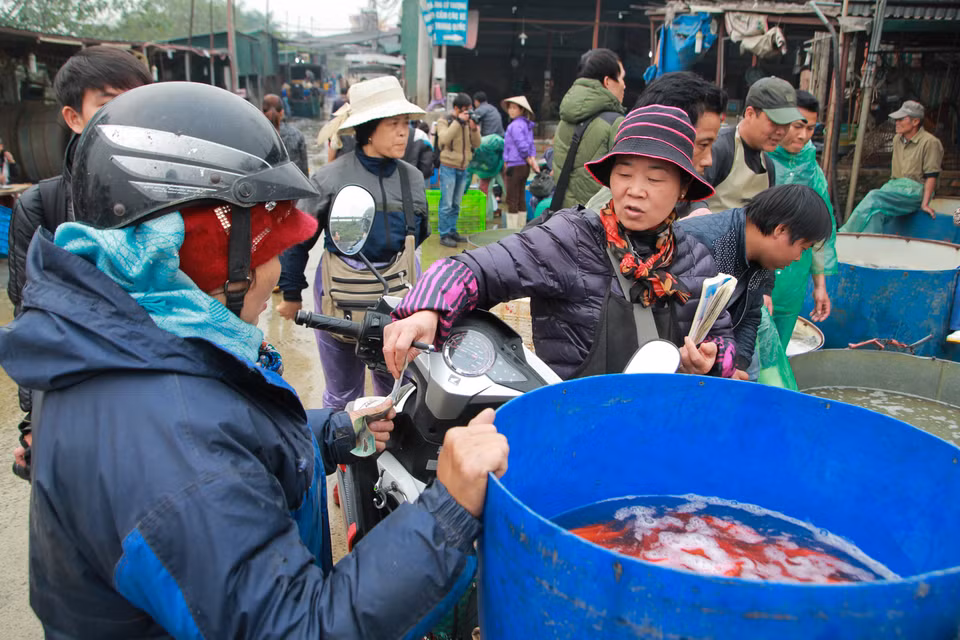 Một vị khách mua gần 1 tạ cá mang về Long Biên để kịp bán sáng 23 tháng Chạp. (Ảnh: Minh Sơn/Vietnam+)
