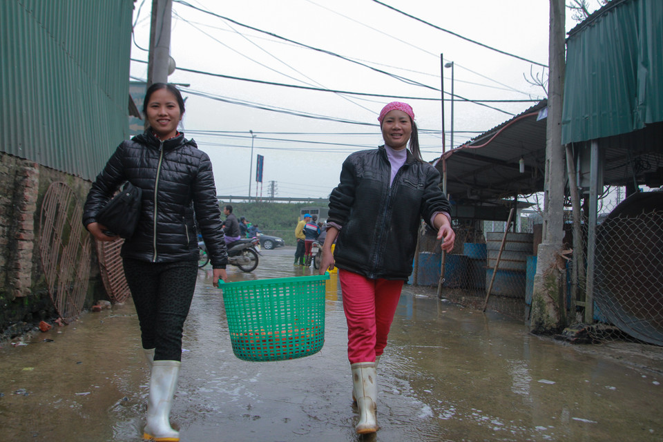 Niềm vui của những khách hàng khi mua được cá ưng ý. (Ảnh: Minh Sơn/Vietnam+)