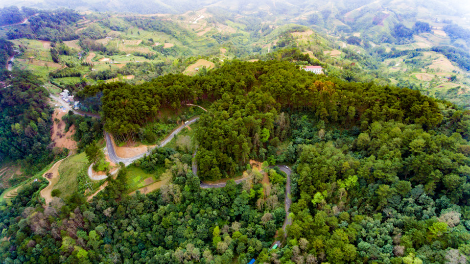 Hà Giang được thiên nhiên ban tặng cho rất nhiều cảnh đẹp từ những con đèo hùng vĩ cho đến những triền ruộng bậc thang hút hồn. Gần đây, 'giới xê dịch' thường rủ nhau khám phá một địa điểm mới, được mệnh danh là 'Đà Lạt thu nhỏ' mang tên rừng thông Yên Minh. (Ảnh: Minh Sơn/Vietnam+)