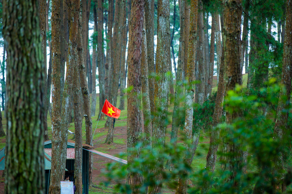 Nơi đây sở hữu những khoảng trống rất xanh, sạch thuận lợi cho hoạt động cắm trại diễn ra hàng ngày. (Ảnh: Minh Sơn/Vietnam+)