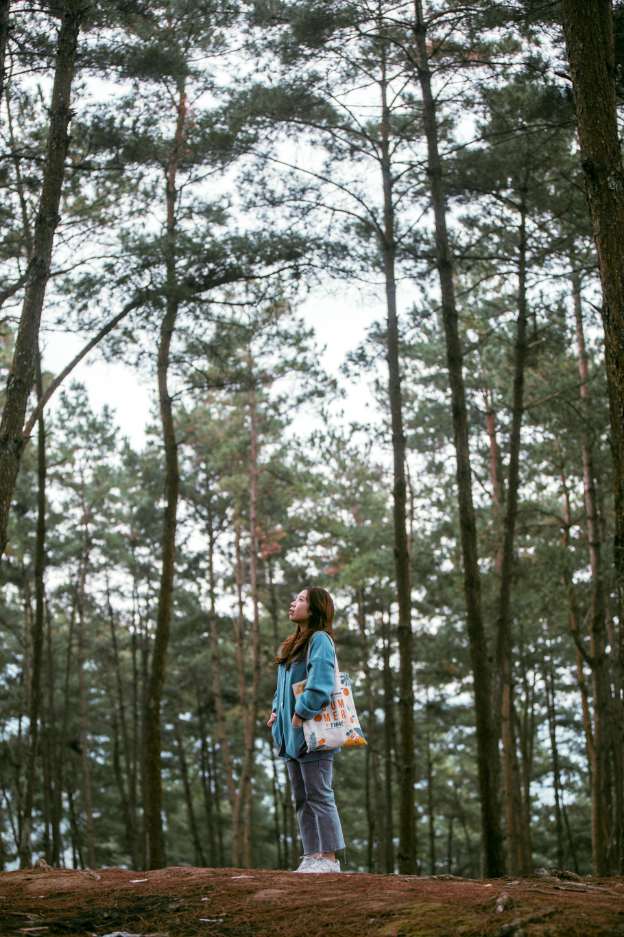 (Ảnh: Minh Sơn/Vietnam+)