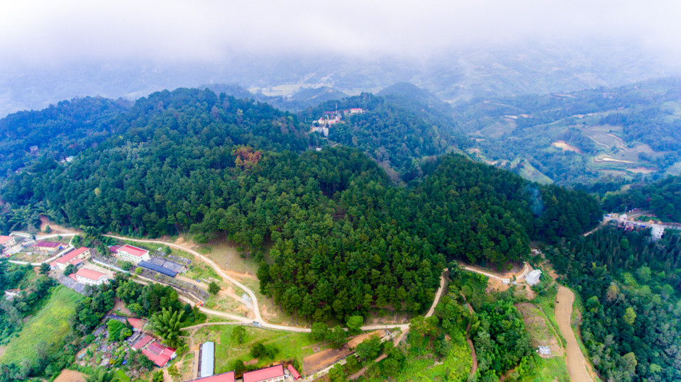 Rừng thông Yên Minh là một địa danh cách trung tâm thành phố Hà Giang 100km về phía Đông Bắc, trải dài trên 3 xã Na Khê, Lao Và Chải, Bạch Đính. (Ảnh: Minh Sơn/Vietnam+)
