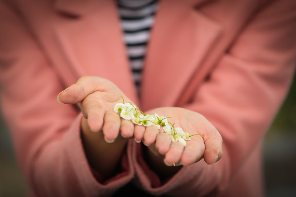 (Ảnh: Minh Sơn/Vietnam+)