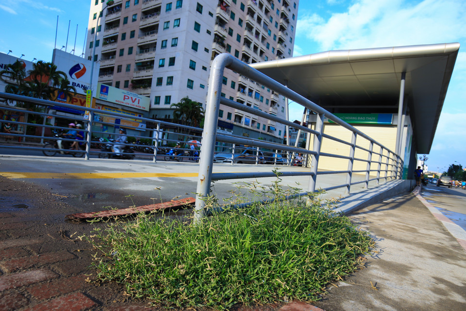 Nhà chờ trên tuyến đường Hoàng Đạo Thúy thậm chí cỏ mọc dày. (Ảnh: Minh Sơn/Vietnam+)