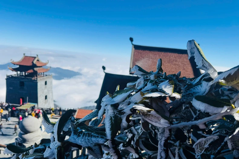 Băng giá phủ trắng đỉnh Fansipan. 