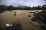 Nước lũ. (Ảnh minh họa: Trọng Đạt/TTXVN)