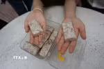 Viên nén sinh khối được làm từ vỏ tỏi. (Ảnh: Thu Hoài/TTXVN)