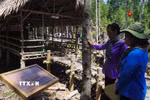 Di tích chiến khu Rừng Sác không chỉ là chiến trường xưa mà còn là một chứng tích sống, một trang sử không bao giờ khép lại. (Ảnh: Hữu Duyên/TTXVN)