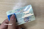 Giấy phép lái xe. (Ảnh minh họa. (Nguồn: Vietnam+)